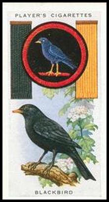 26 Blackbird